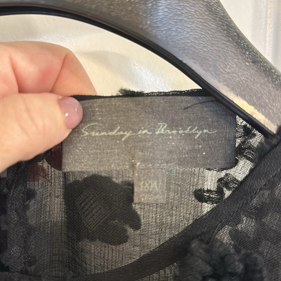 Anthropologie black, sheer, party dress. Size 18W - Picture 4 of 8